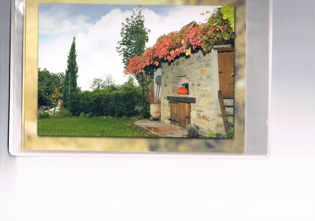 B&B San Nicola Serramazzoni Екстериор снимка