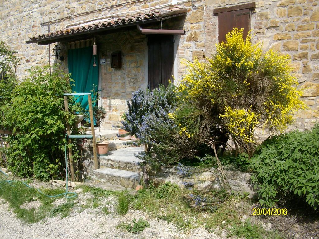 B&B San Nicola Serramazzoni Екстериор снимка