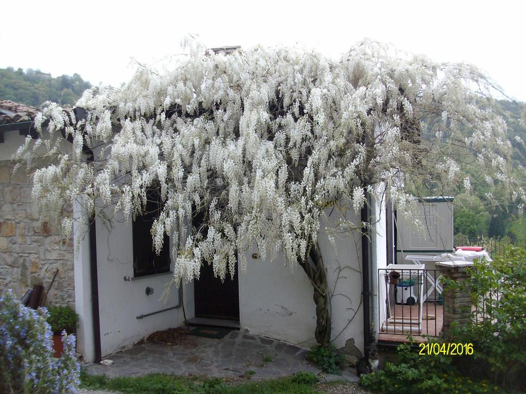 B&B San Nicola Serramazzoni Екстериор снимка